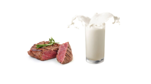 Milk And Meat